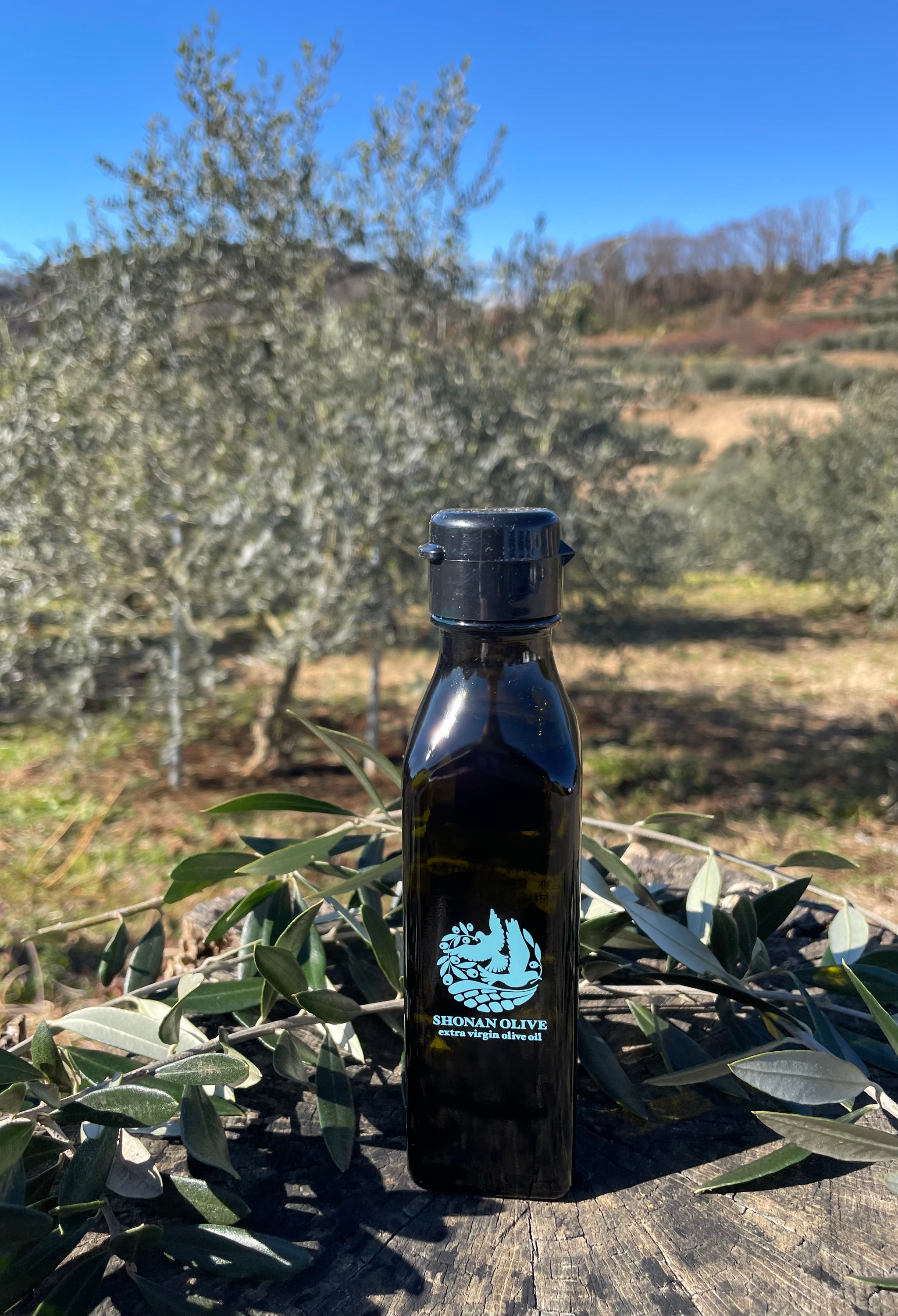 オリーブオイル一覧 | 国産オリーブオイル通販 SHONAN OLIVE