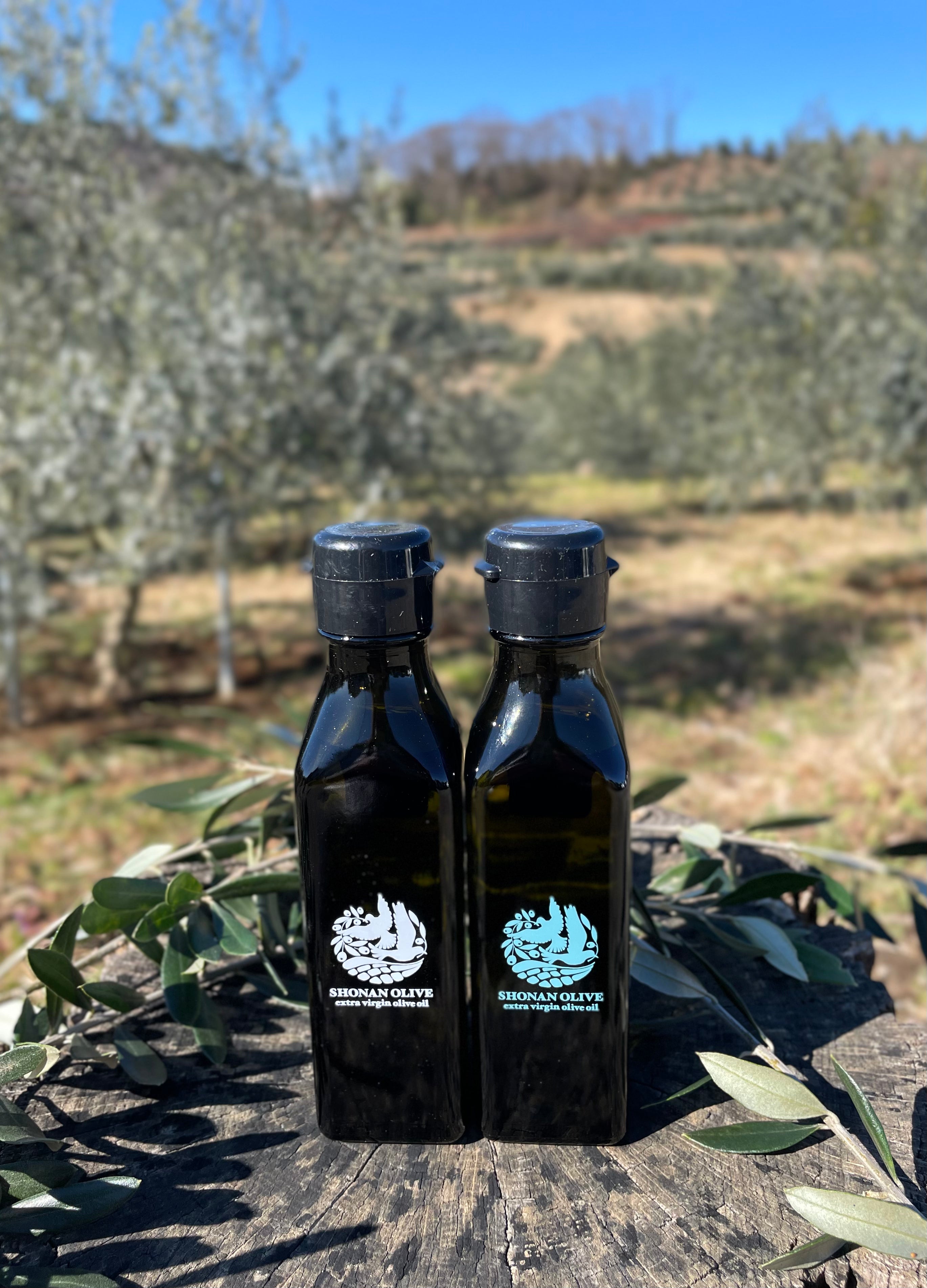 湘南オリーブオイル2025 2本セット – SHONAN OLIVE